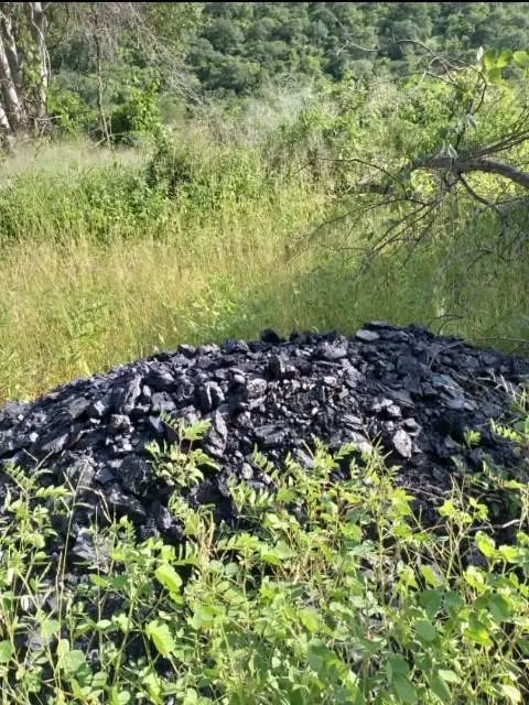 COAL MINE LAND FOR SALE.