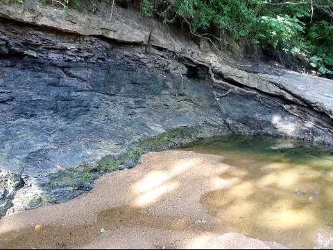 COAL MINE LAND FOR SALE.