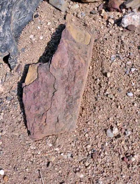 COAL MINE LAND FOR SALE.