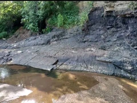 COAL MINE LAND FOR SALE.