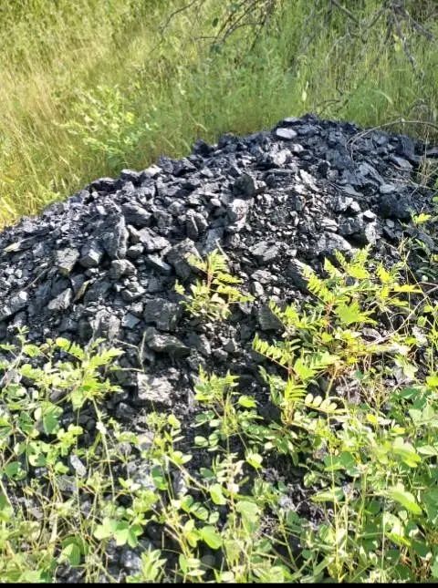 COAL MINE LAND FOR SALE.