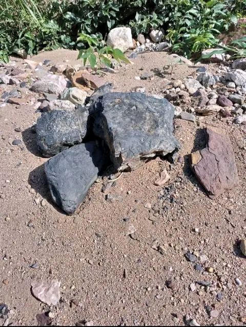 COAL MINE LAND FOR SALE.