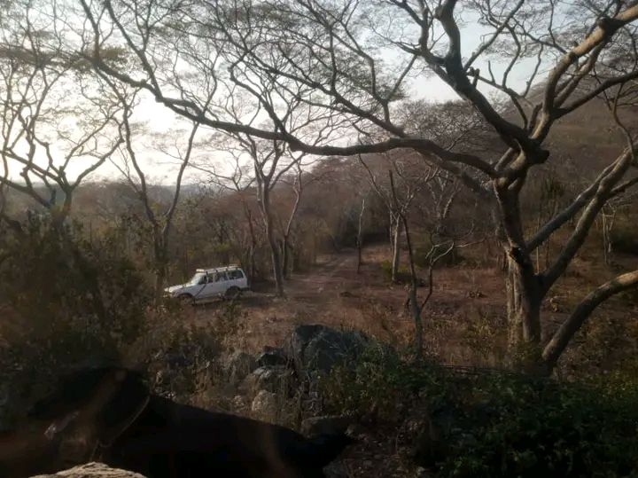 70 ACRES LAND FOR SALE SHIMABALA OFF KAFUE ROAD