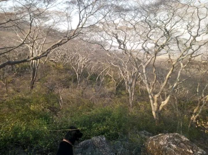 70 ACRES LAND FOR SALE SHIMABALA OFF KAFUE ROAD