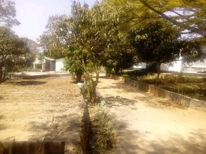 KABULONGA ROAD FRONTAGE 2 ACRES FOR SALE