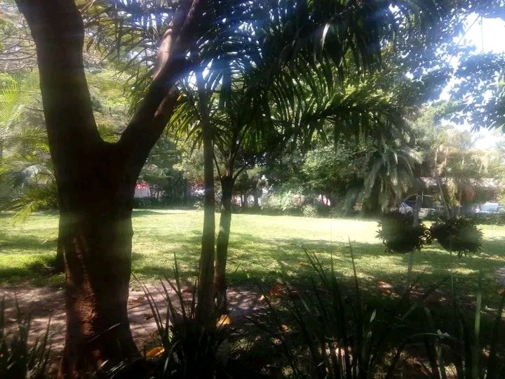 KABULONGA ROAD FRONTAGE 2 ACRES FOR SALE