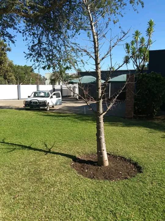 RHODESPARK PRIME PROPERTY FOR SALE OFF ADDIS ABABA