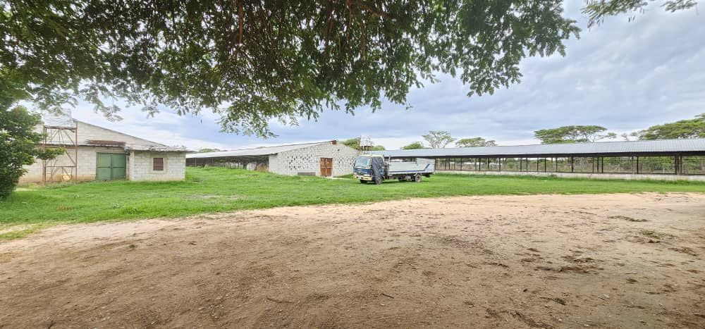 SILVEREST FARM PROPERTY FOR SALE 4 ACRES WITH A 4 BEDROOM HOUSE