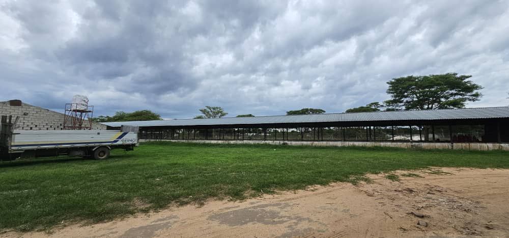 SILVEREST FARM PROPERTY FOR SALE 4 ACRES WITH A 4 BEDROOM HOUSE